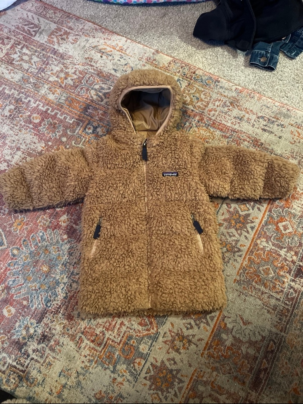 Patagonia Kids Hi Loft Parka